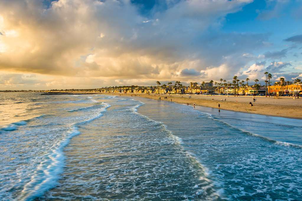 Cambria Hotel & Suites Anaheim Resort Area Ανέσεις φωτογραφία
